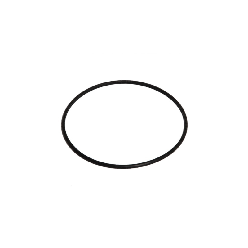 Guarnição da Flange do Módulo de Combustível