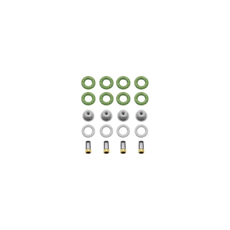 Kit de Filtros para Bico Injetor 