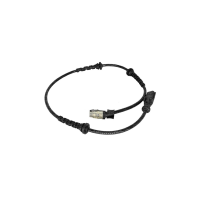 Sensor ABS