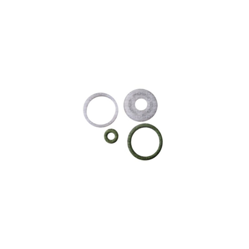 Kit de Filtros para Bico Injetor 