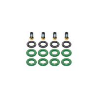 Kit de Filtros para Bico Injetor 