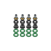Kit de Filtros para Bico Injetor 