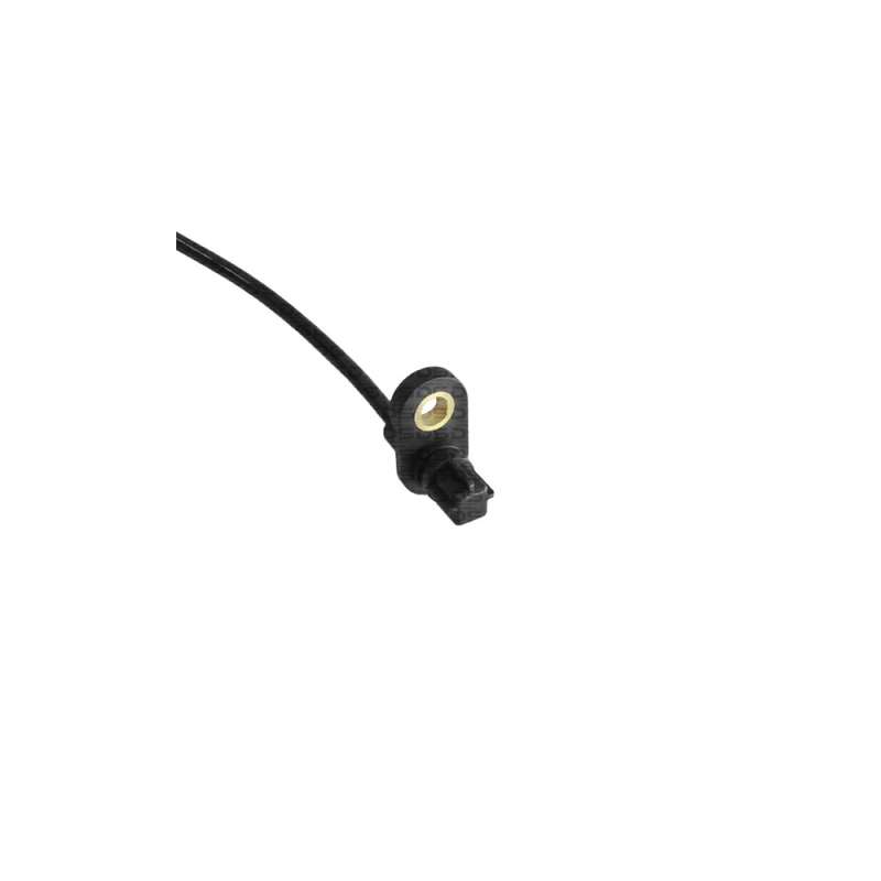 Sensor ABS