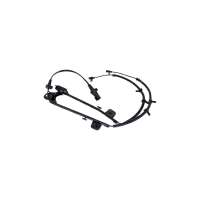 Sensor ABS