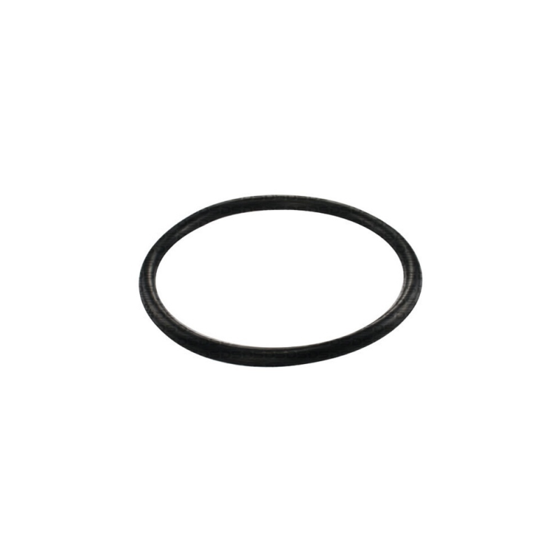 Guarnição da Flange do Módulo de Combustível