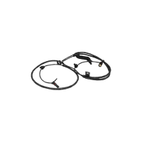 Sensor ABS