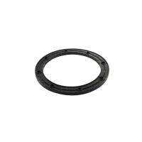 Guarnição da Flange do Módulo de Combustível