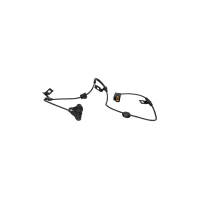 Sensor ABS