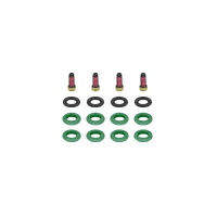 Kit de Filtros para Bico Injetor 