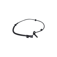 Sensor ABS