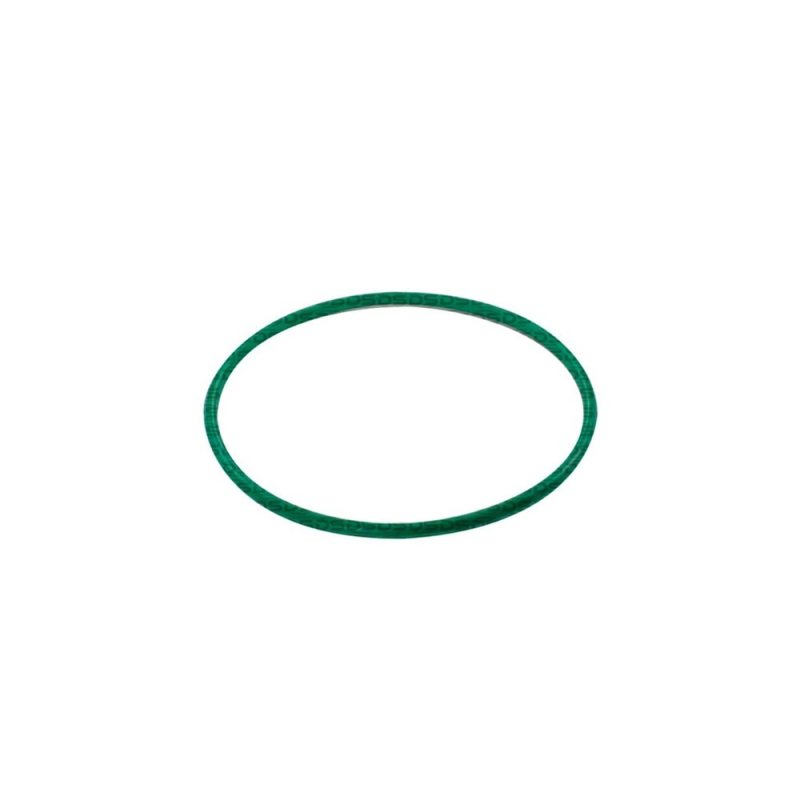 Guarnição da Flange do Módulo de Combustível