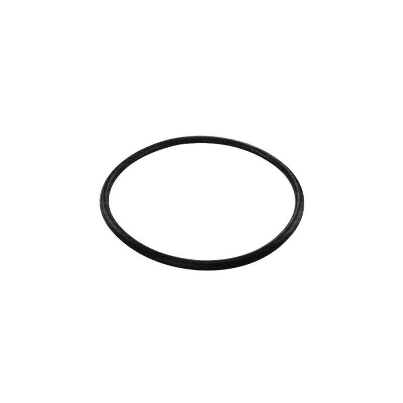 Guarnição da Flange do Módulo de Combustível
